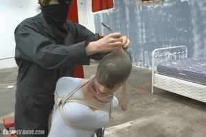 xsiteability.com - Alexis Pantyhose Hood Pallet 1 thumbnail